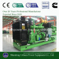 High Efficiency Cummins 300kw Biogas Generator Set Adopt Biomass Marsh Gas, CNG